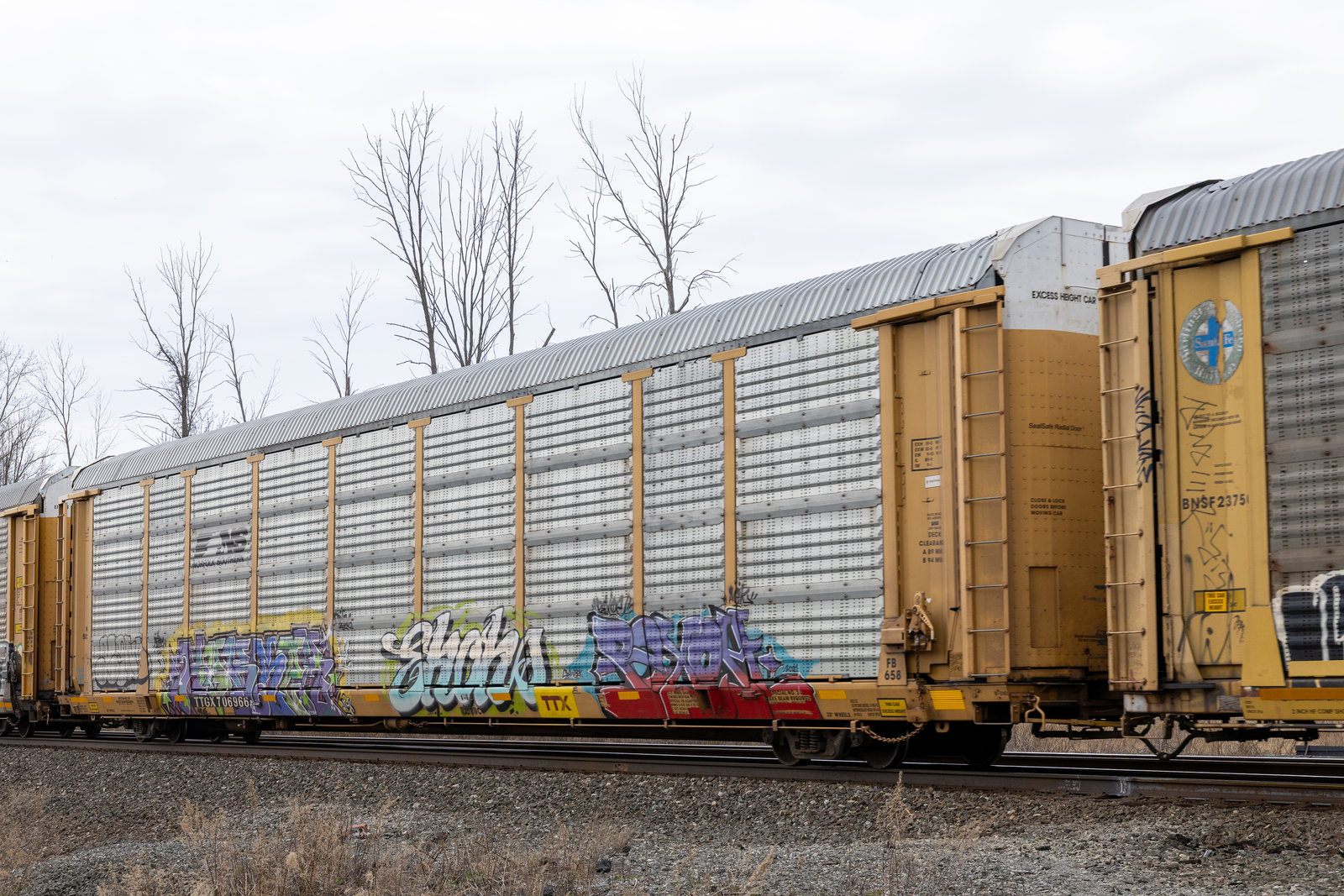 TTGX 706966