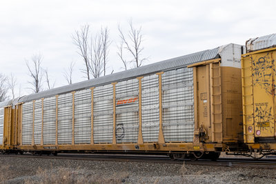 TTGX 704839