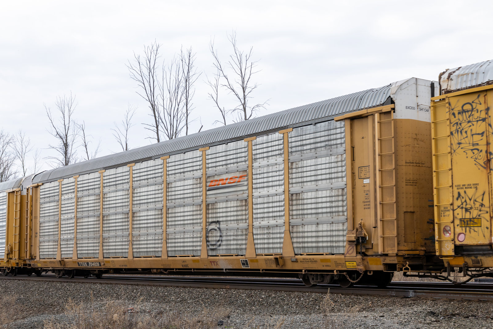 TTGX 704839