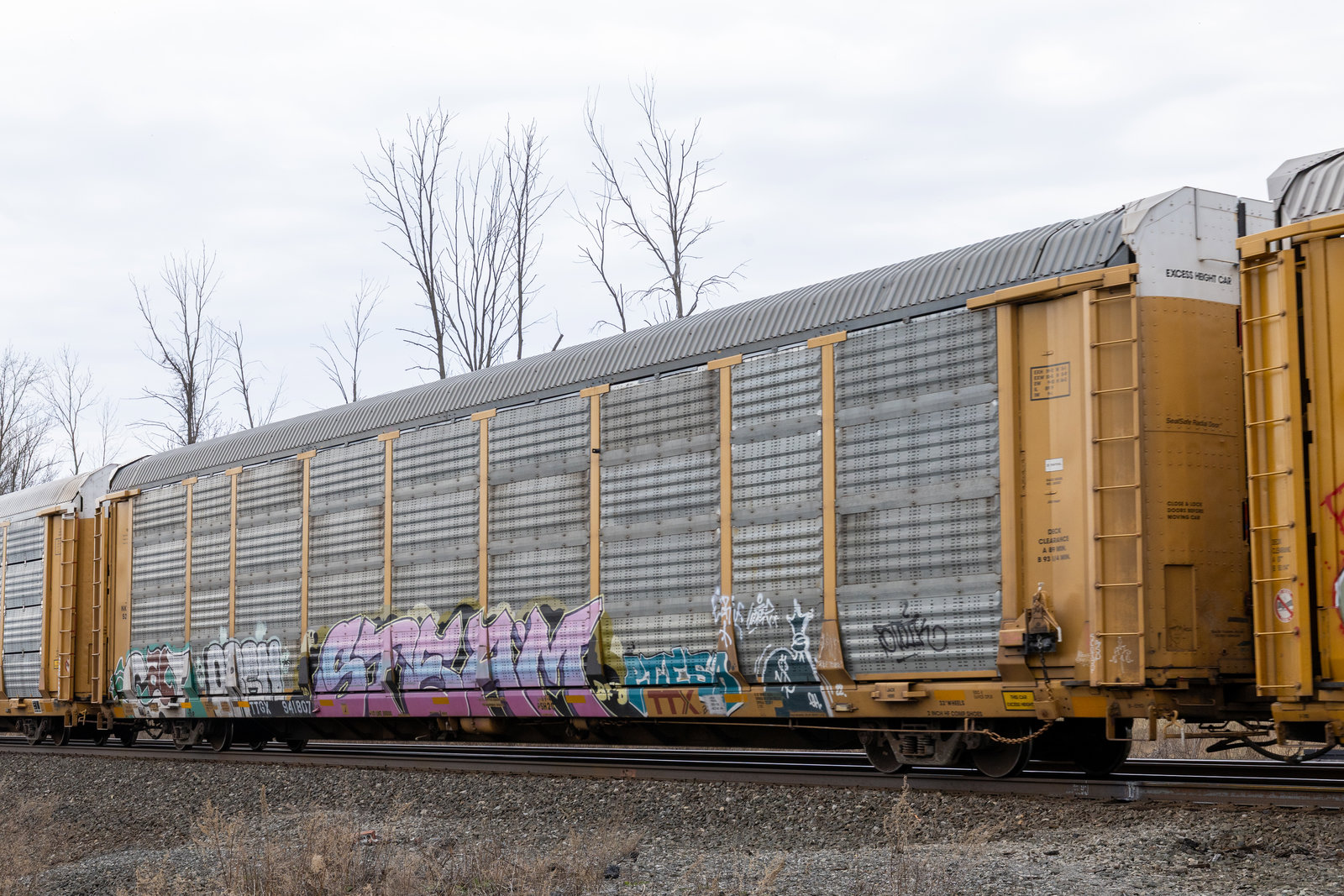 TTGX 941807