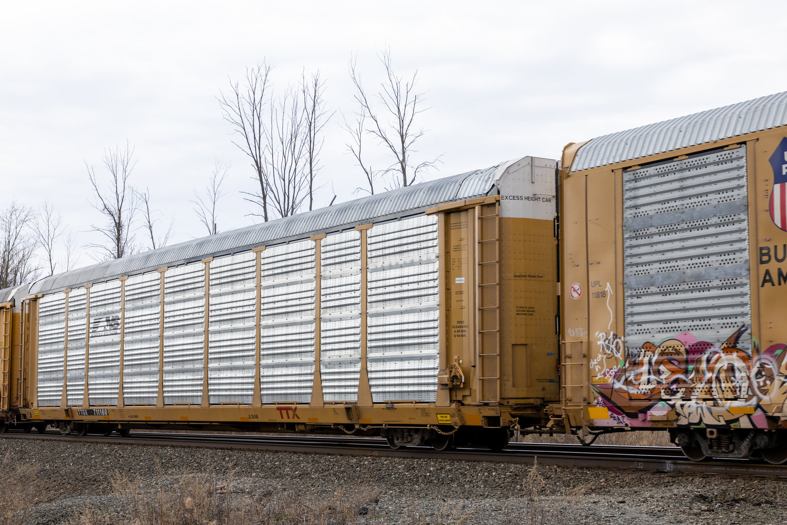 TTGX 711160