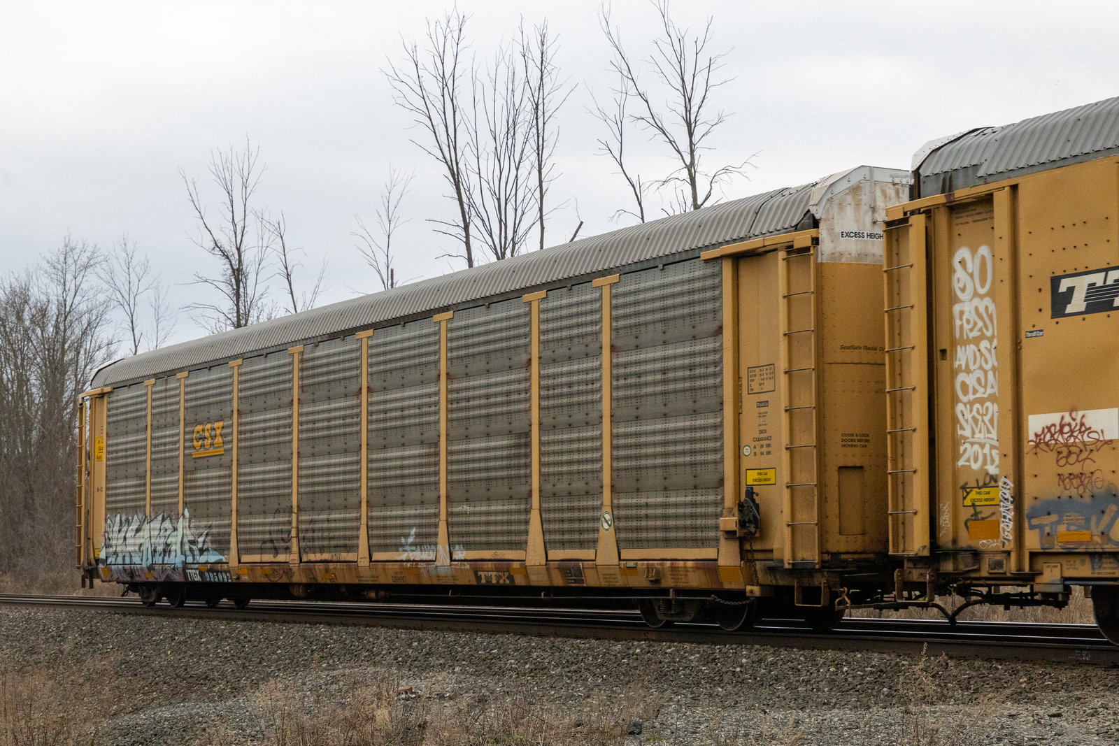 TTGX 995092