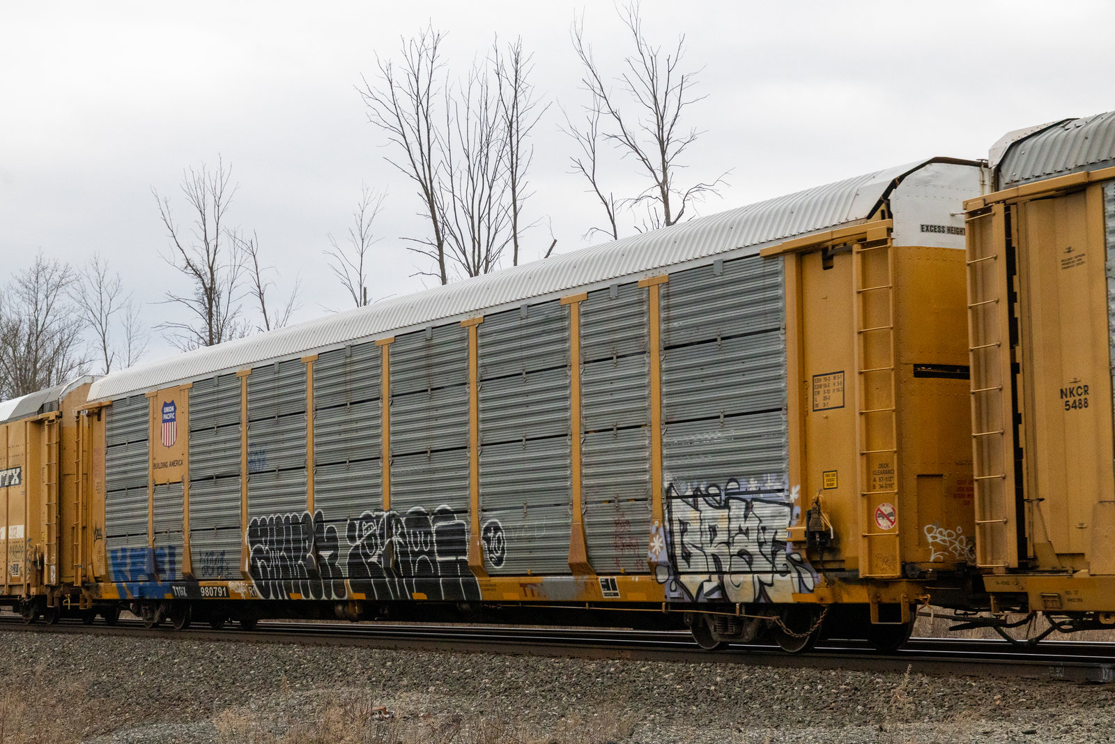 TTGX 980791