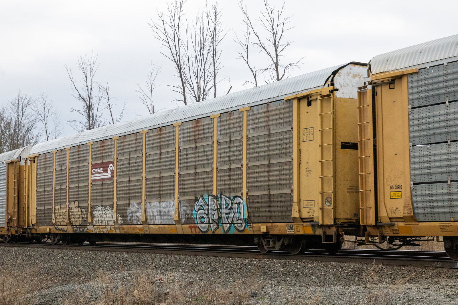 TTGX 157334