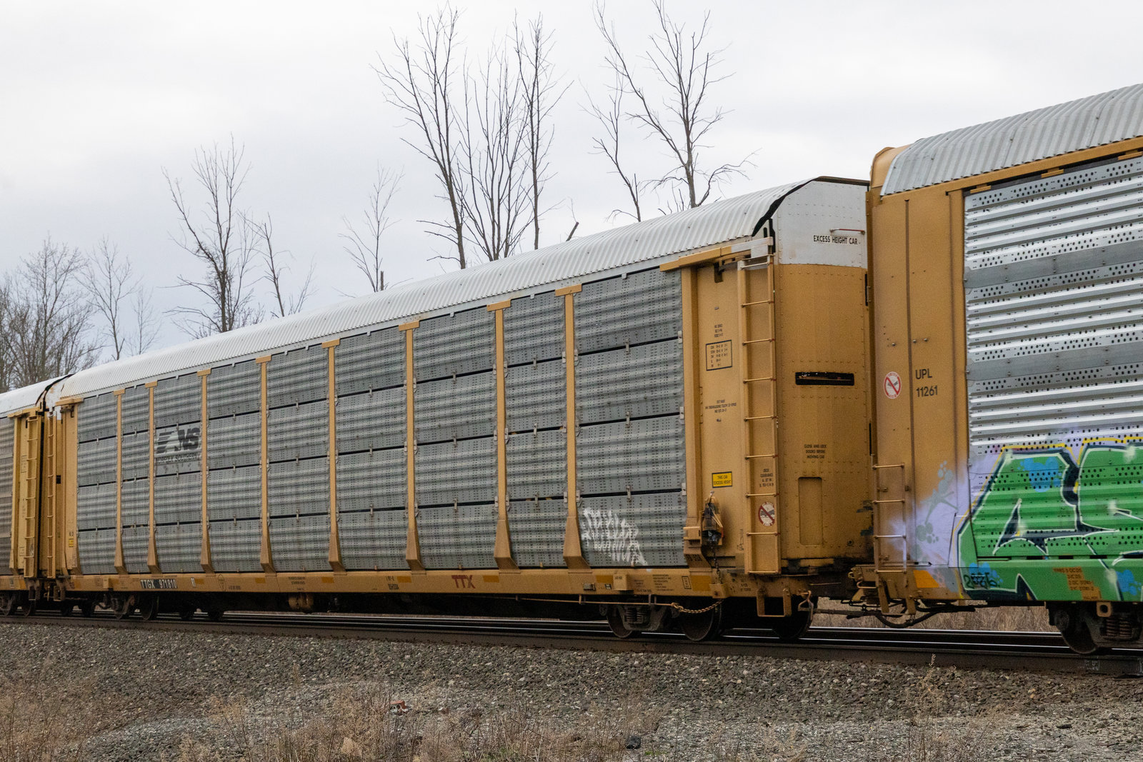 TTGX 971810