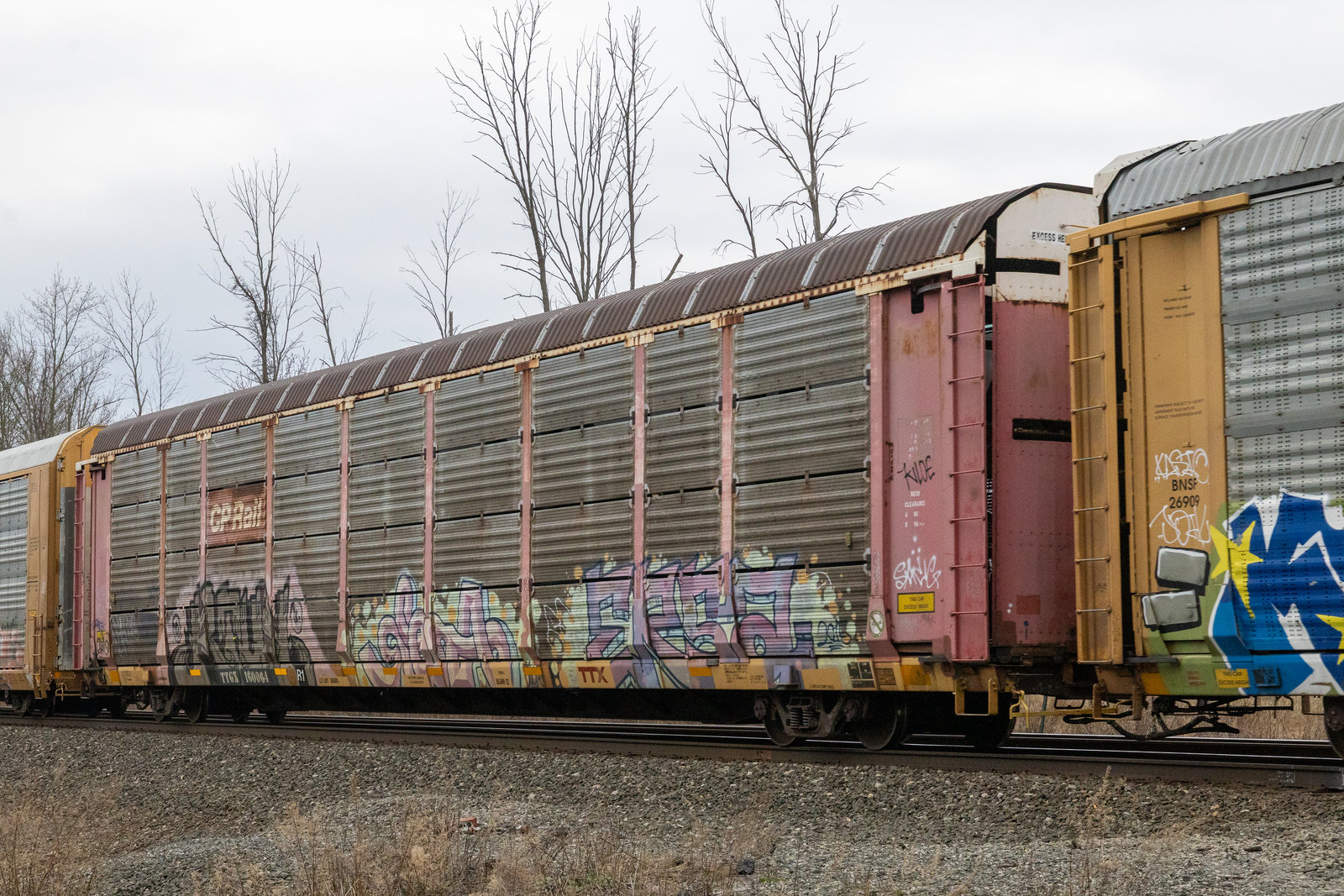 TTGX 160064