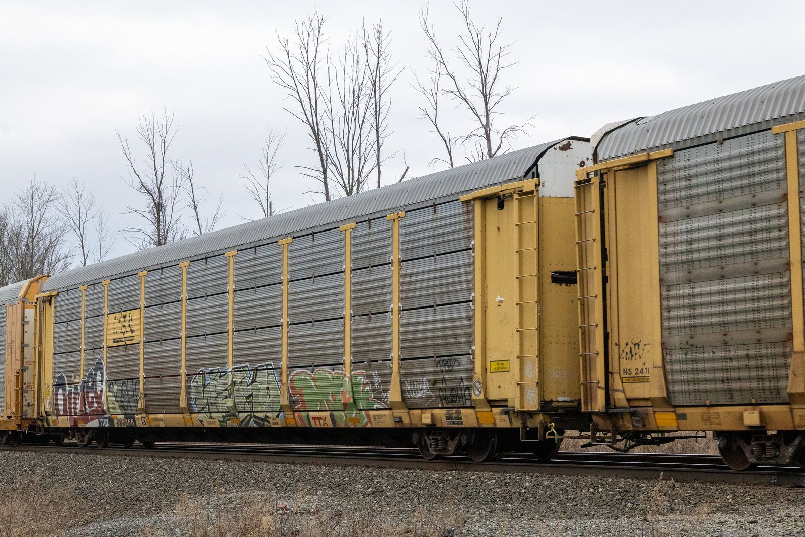 TTGX 965355