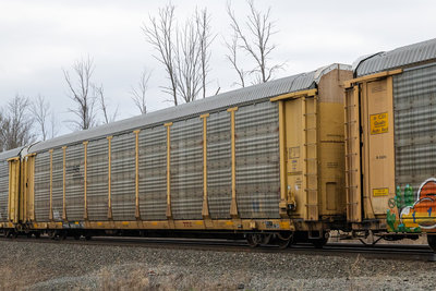 TTGX 983771
