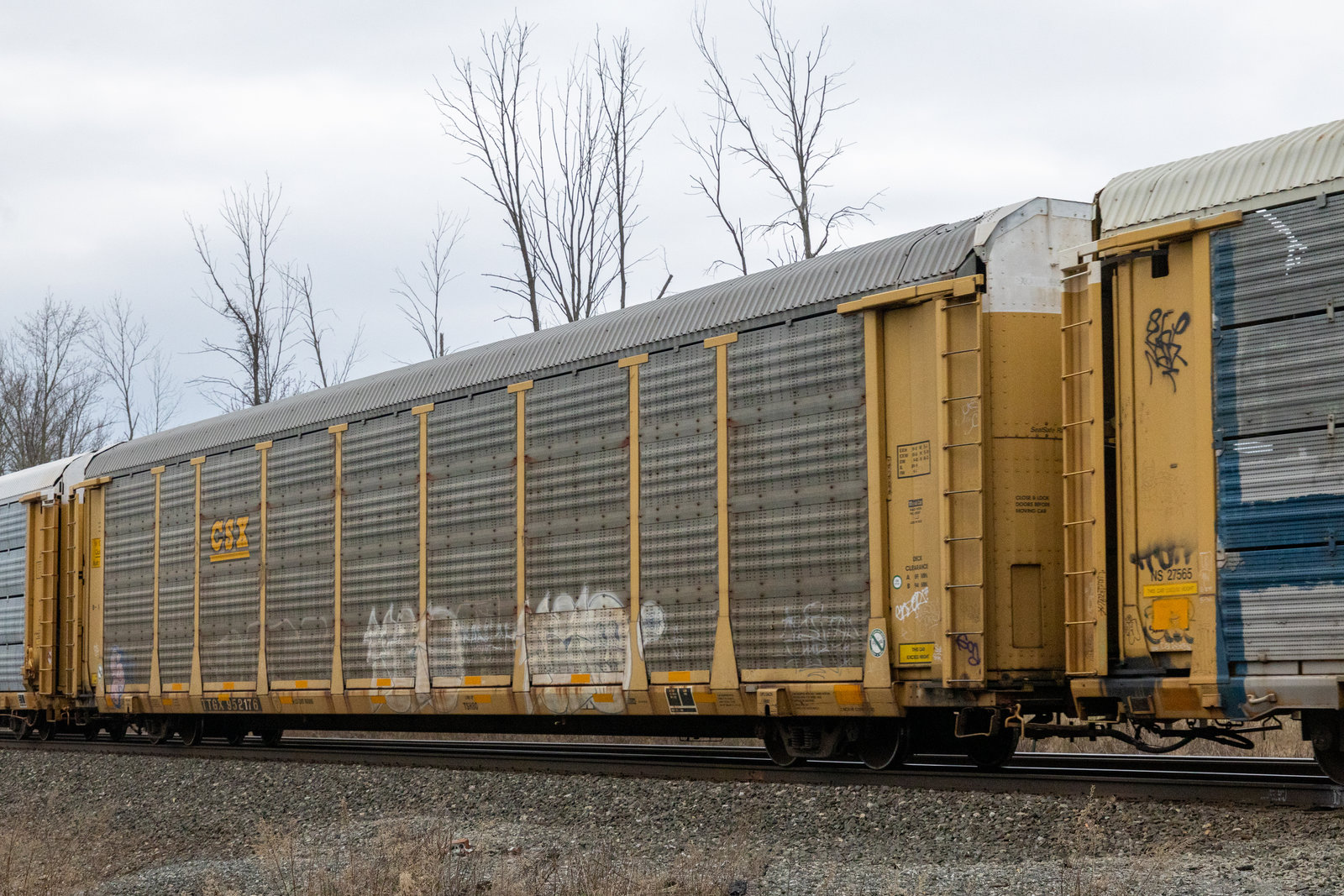 TTGX 952176