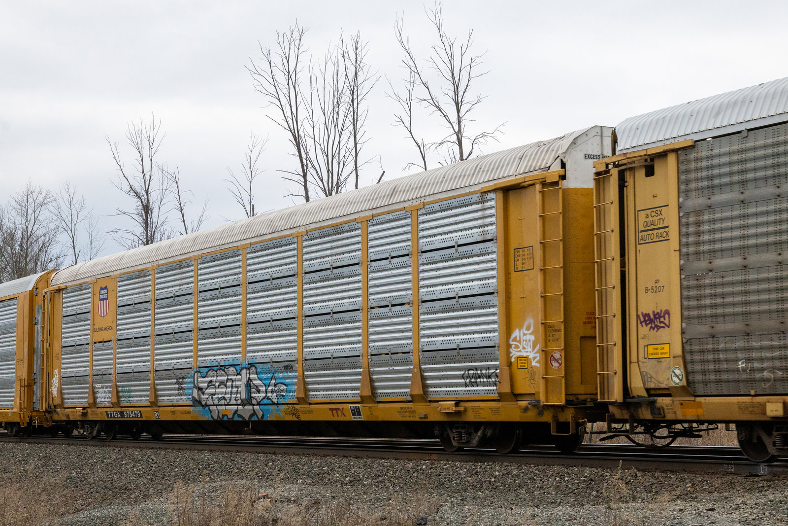 TTGX 975479