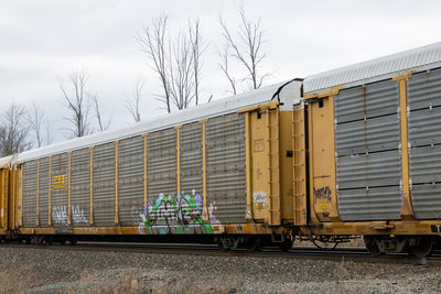 TTGX 964818