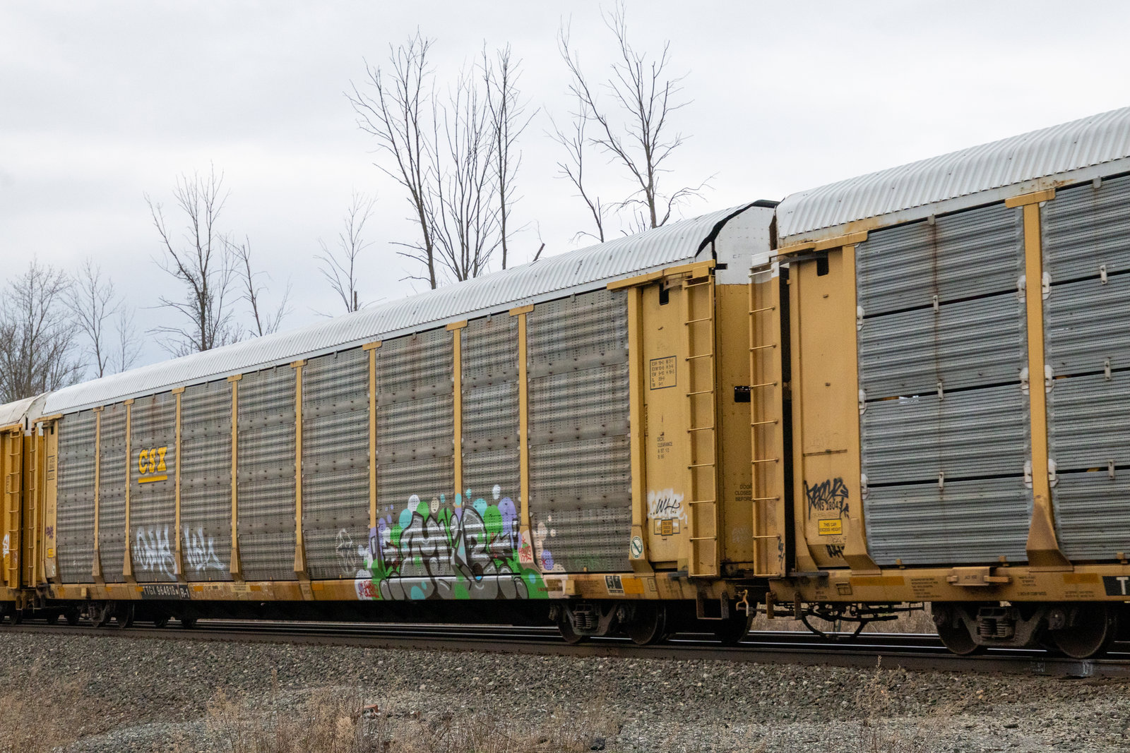 TTGX 964818