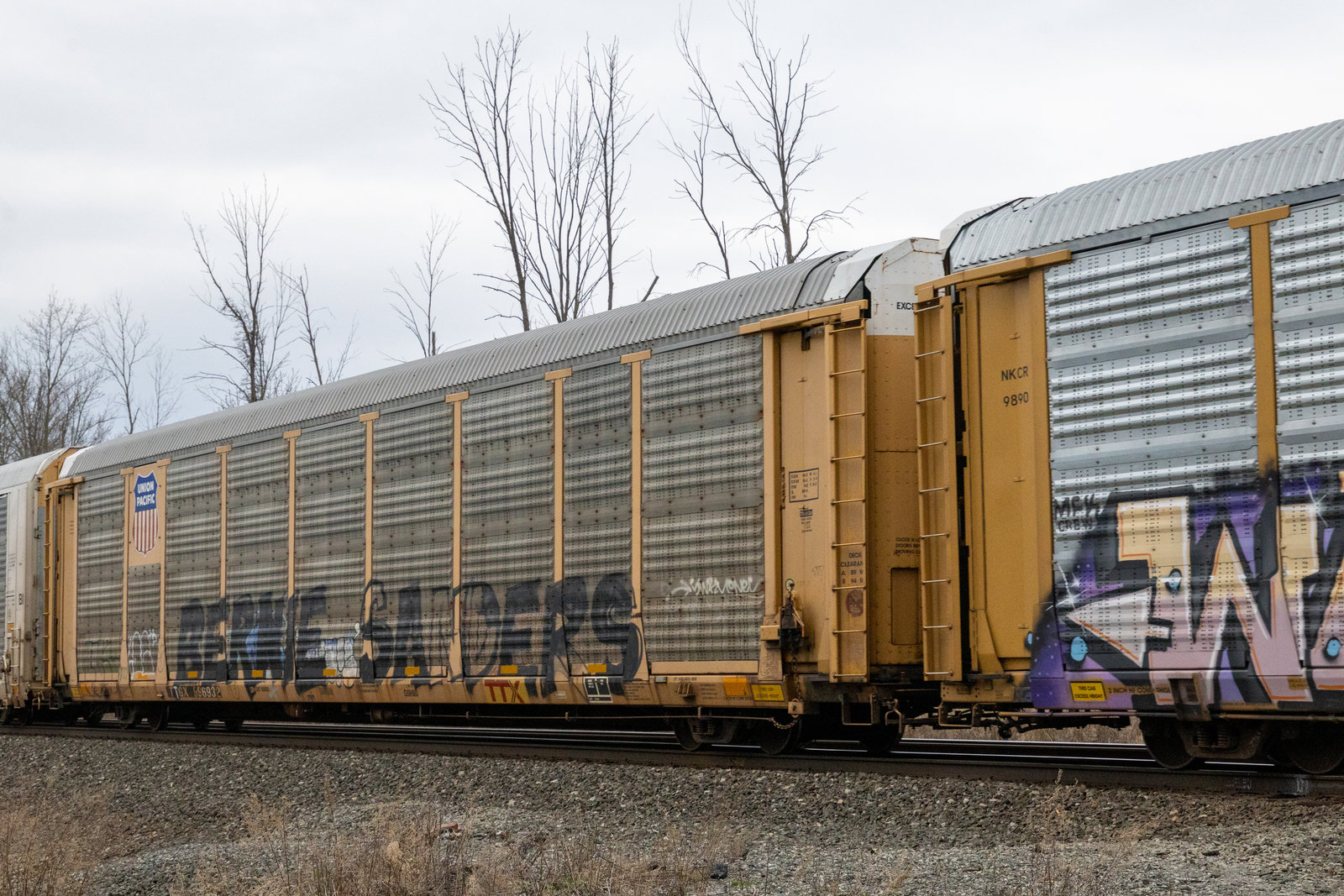 TTGX 996932