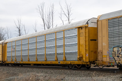 TTGX 971864