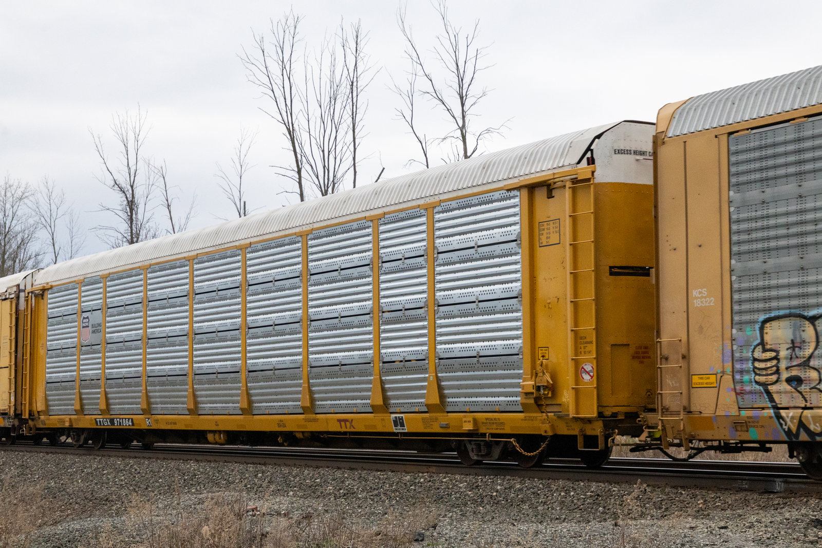 TTGX 971864