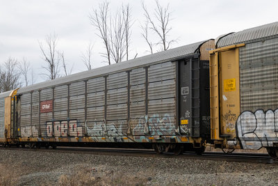 TTGX 973786