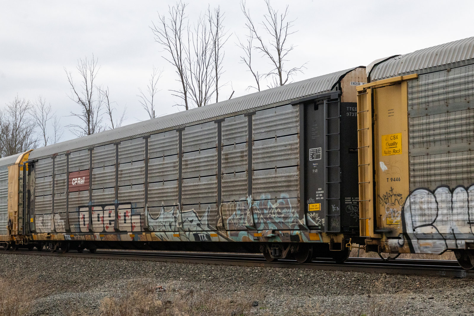 TTGX 973786