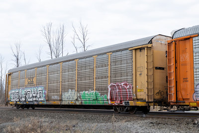TTGX 973260