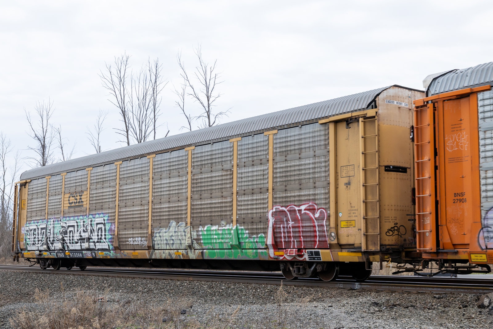 TTGX 973260