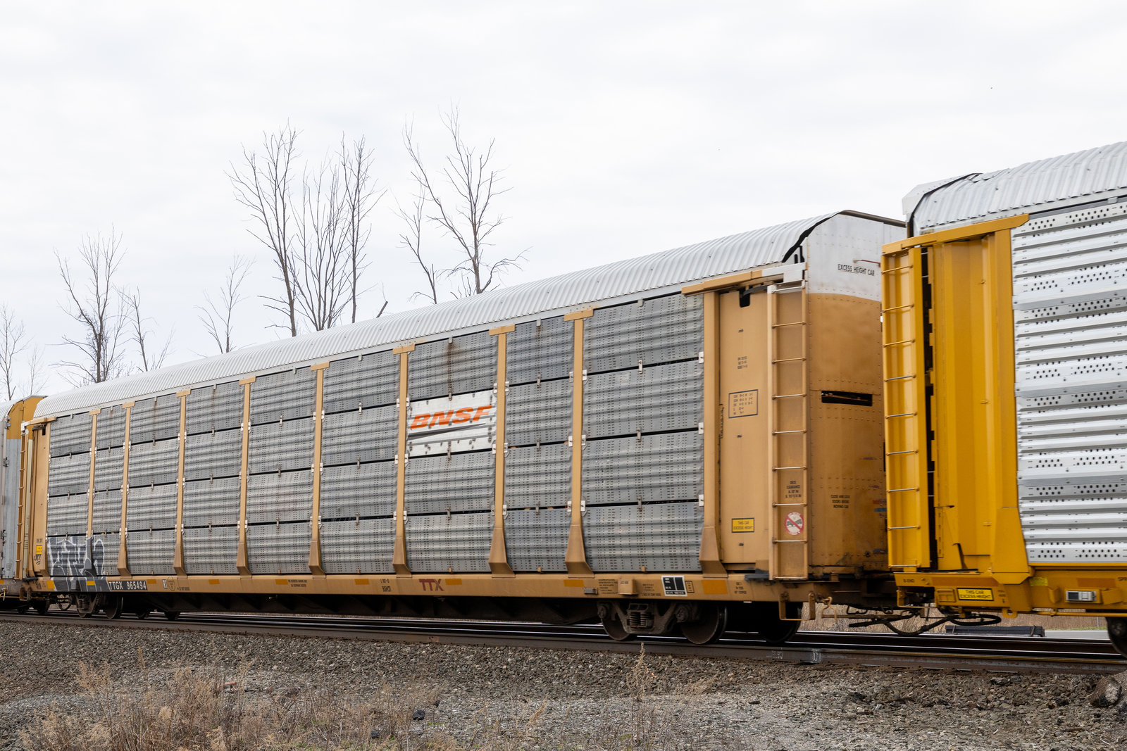 TTGX 965494