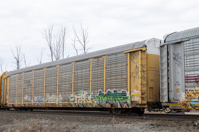TTGX 985821