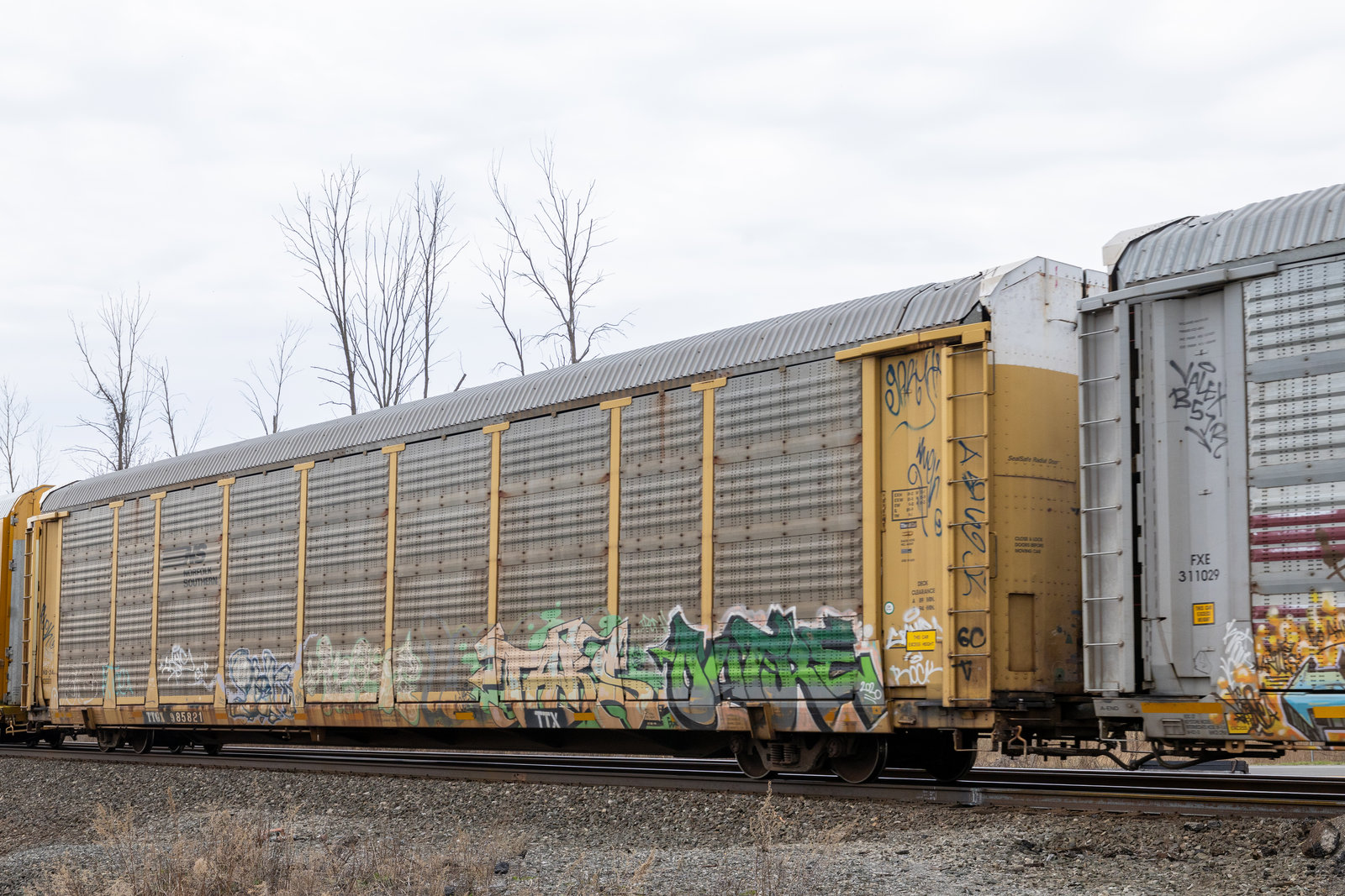 TTGX 985821
