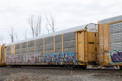 TTGX 979175