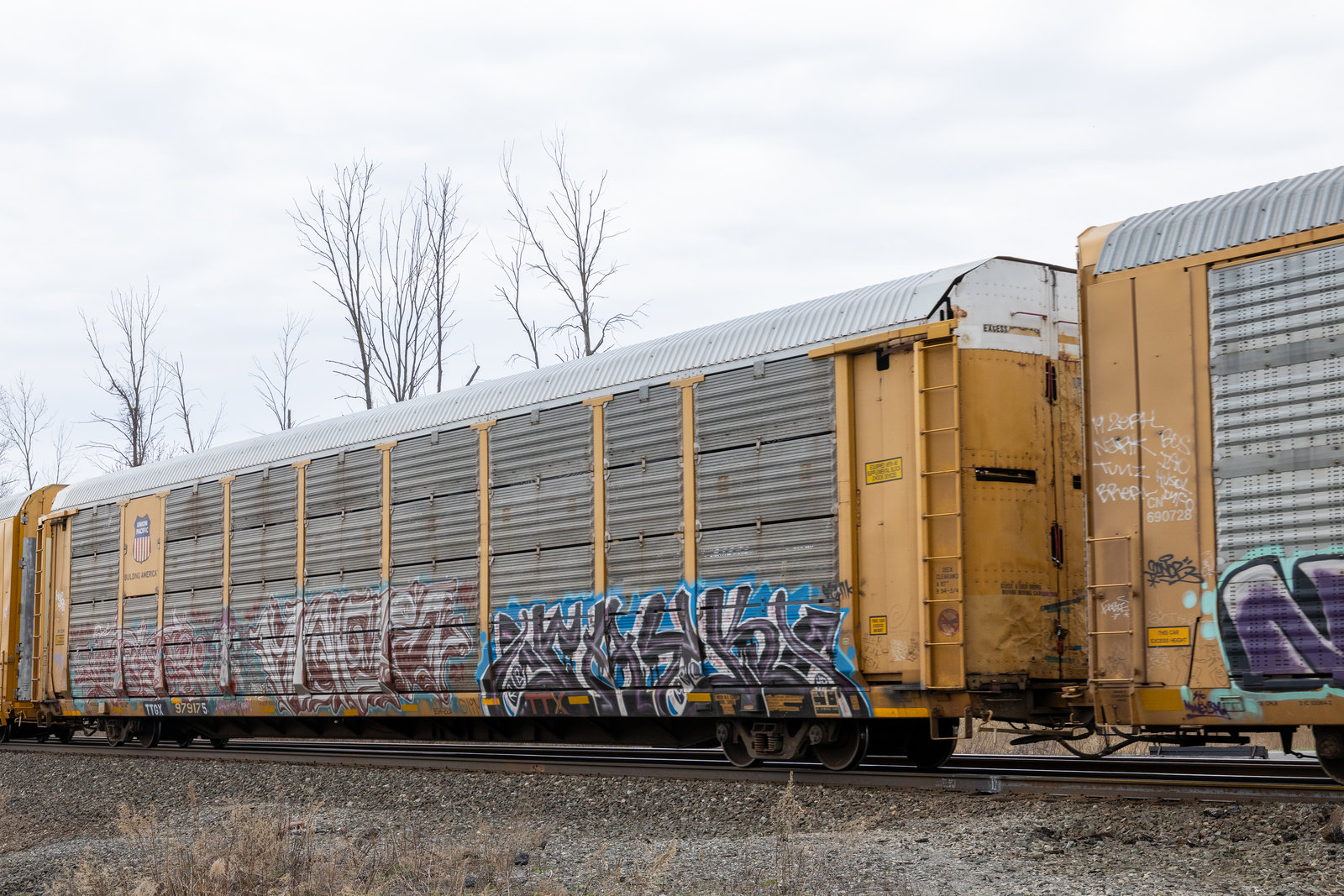 TTGX 979175