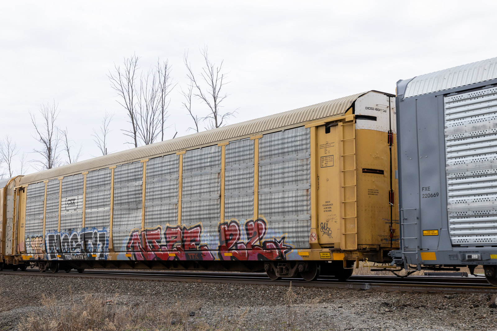 TTGX 964179