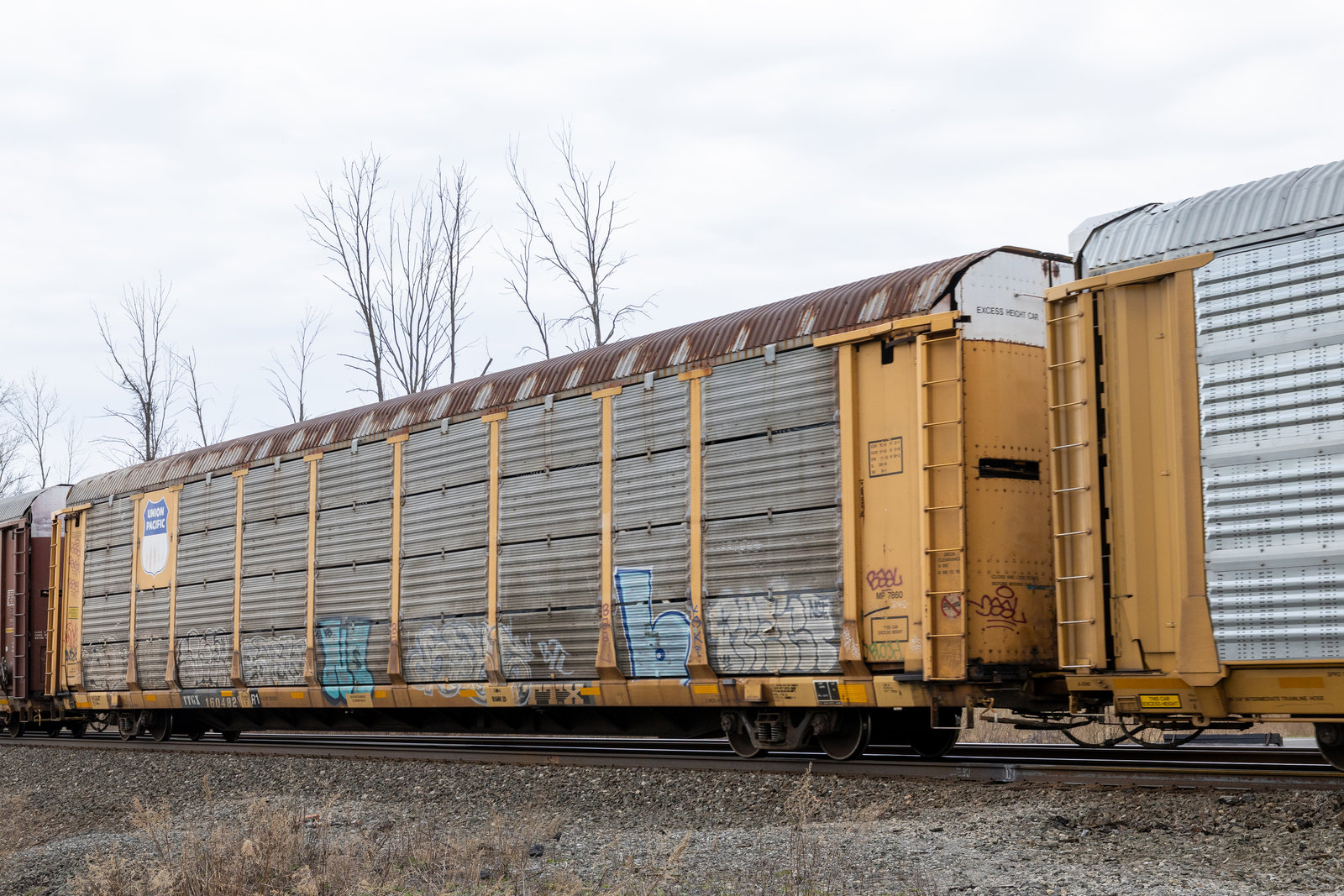 TTGX 160482