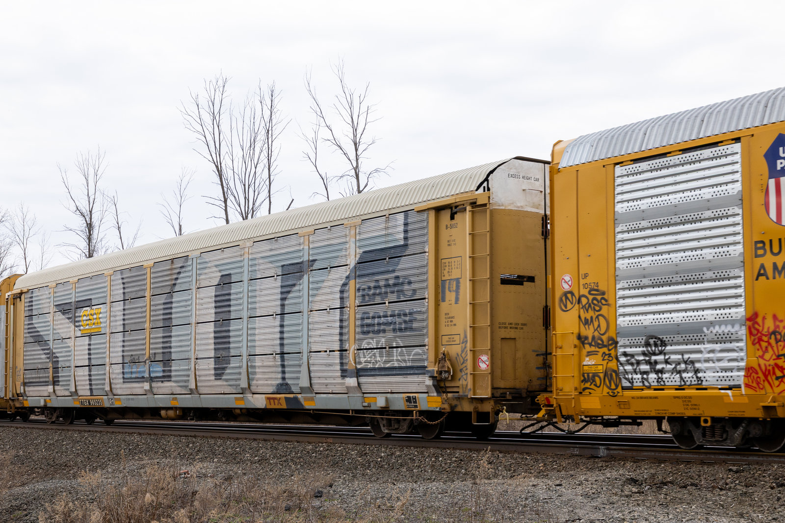 TTGX 965235