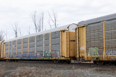 TTGX 980444
