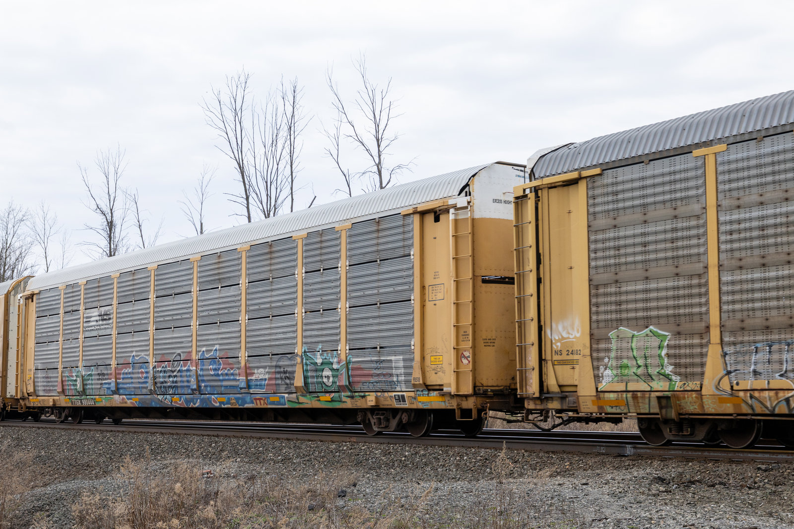TTGX 980444