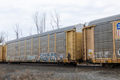 TTGX 985176