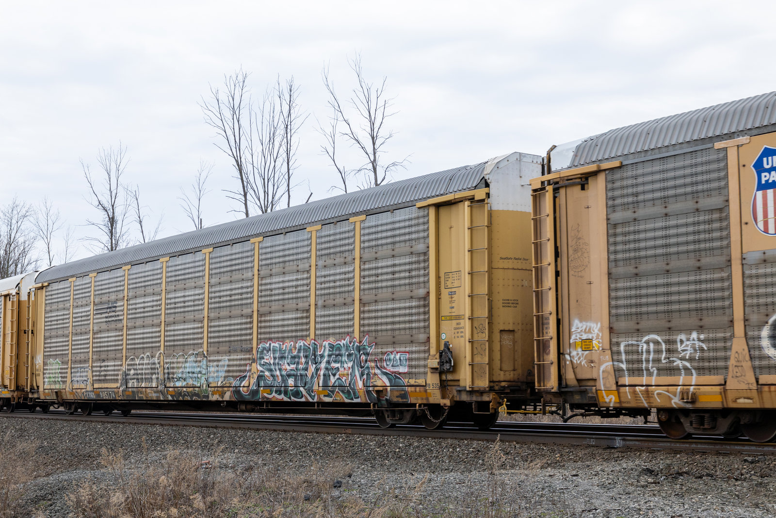 TTGX 985176
