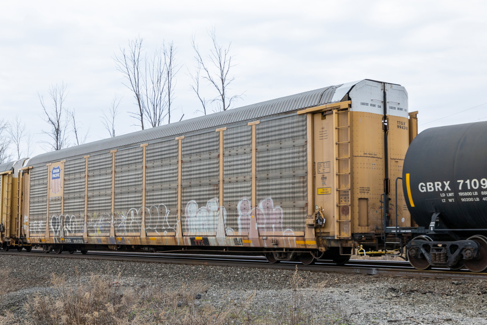 TTGX 994398