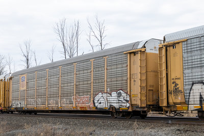 TTGX 985718