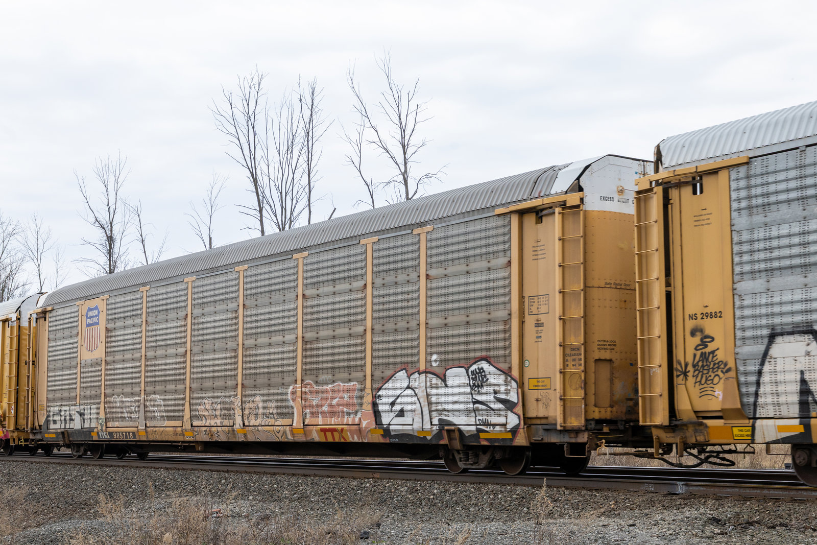 TTGX 985718