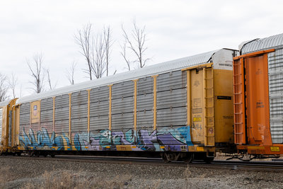 TTGX 983613