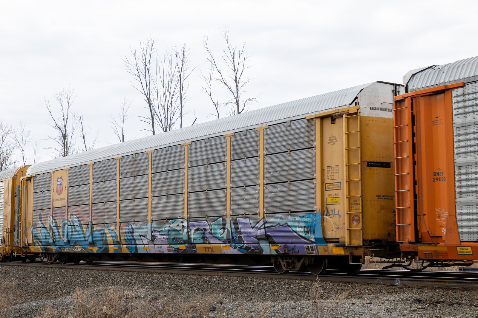 TTGX 983613