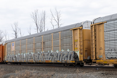 TTGX 994352