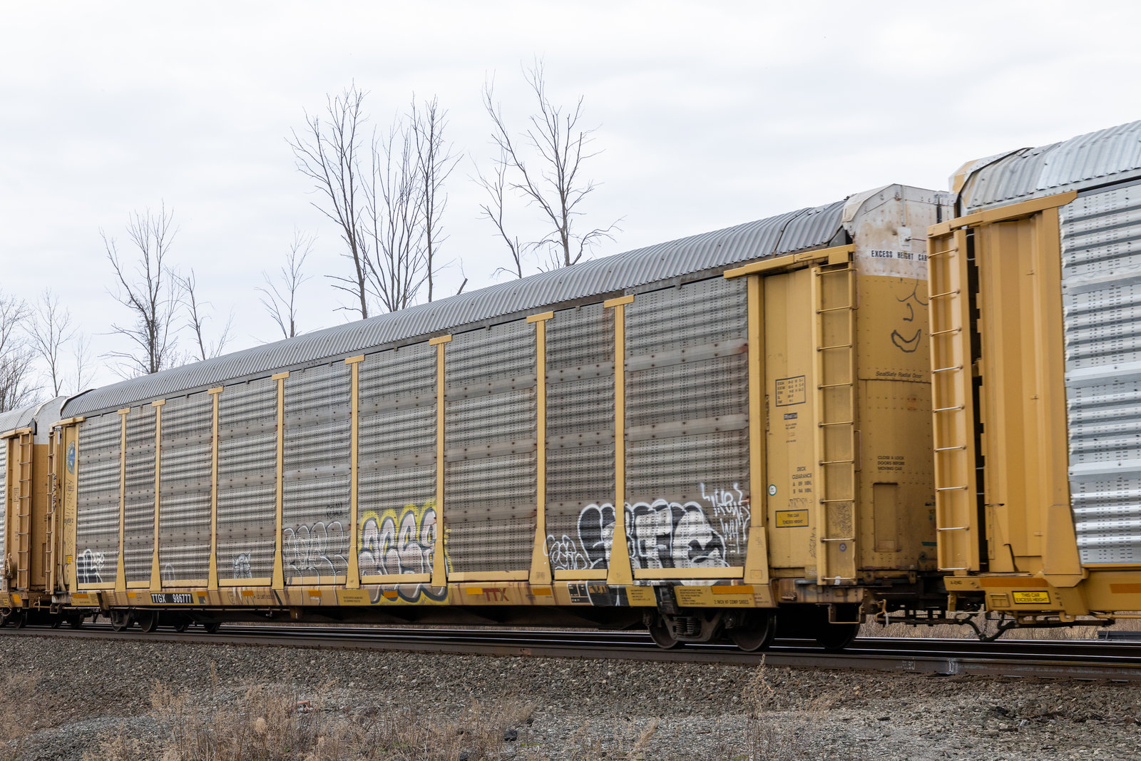 TTGX 986777