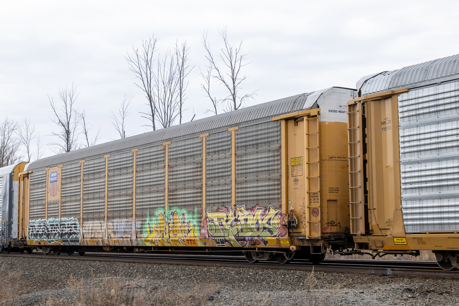TTGX 996960