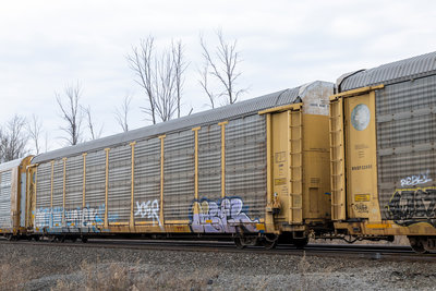 TTGX 987070