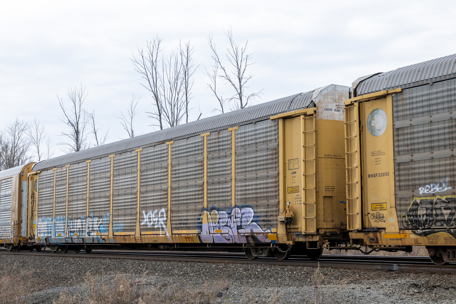 TTGX 987070