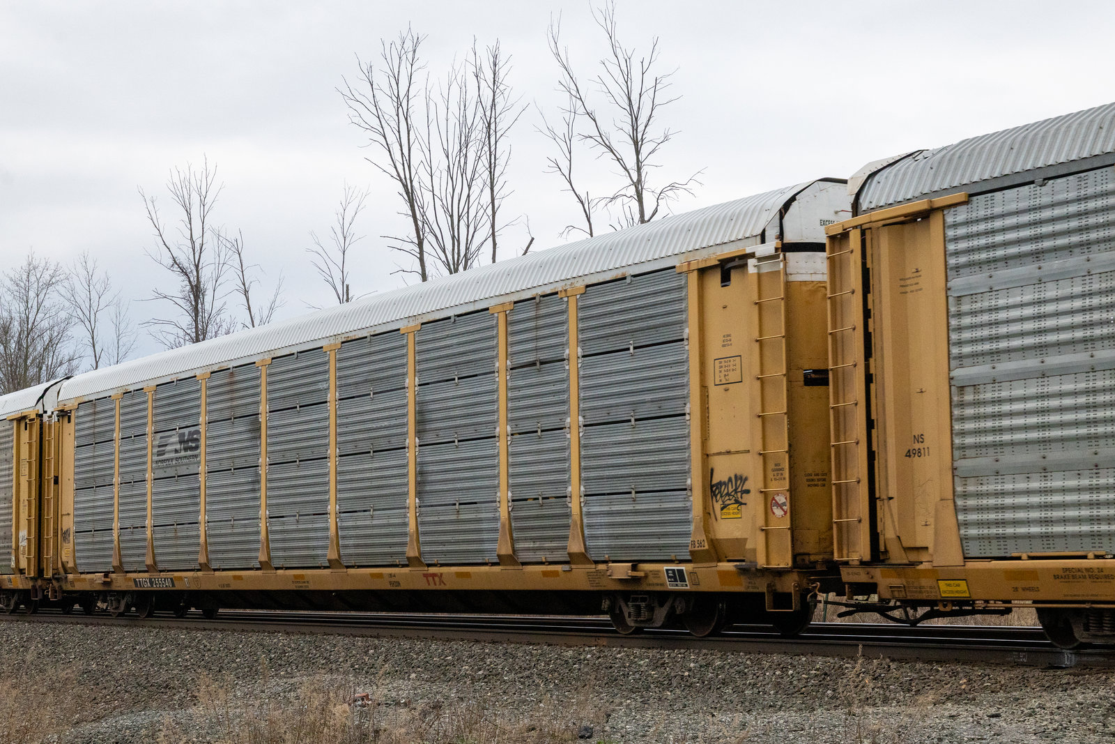 TTGX 255540