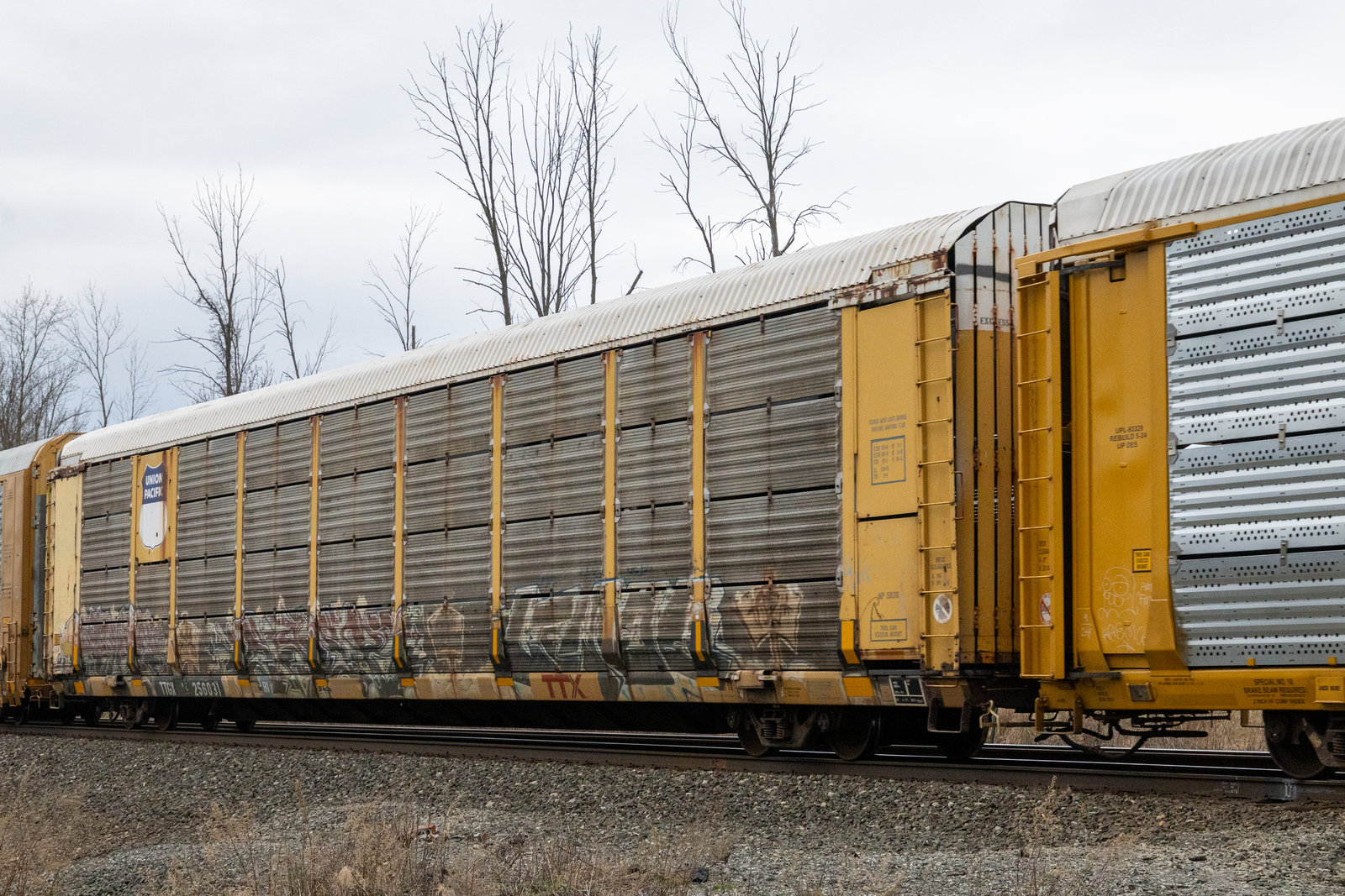 TTGX 256031