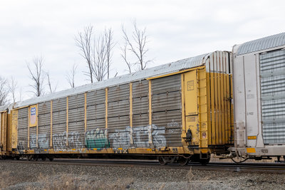 TTGX 942288