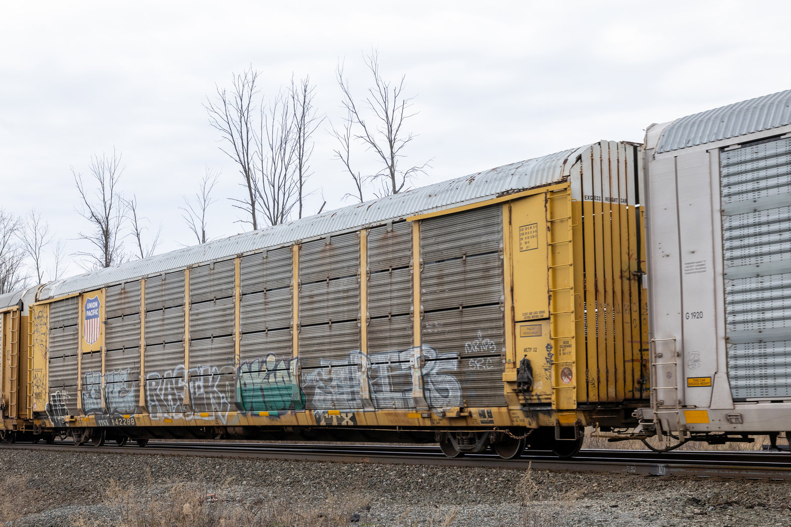 TTGX 942288