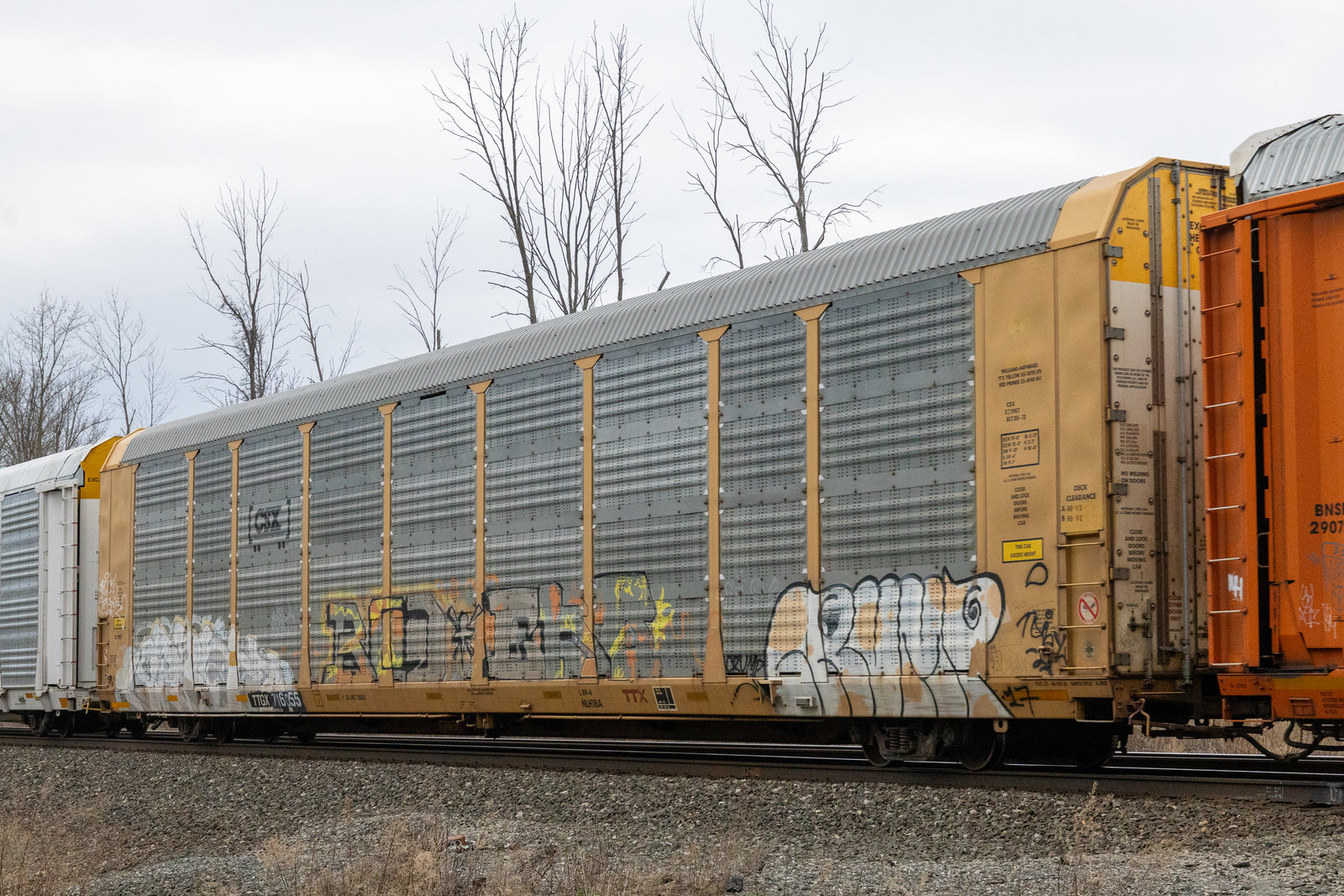 TTGX 716055